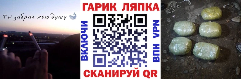 ГАШ Premium Торопец