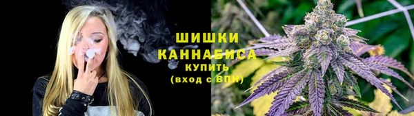 прущие грибы Абинск