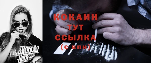 ГАЛЛЮЦИНОГЕННЫЕ ГРИБЫ Абаза