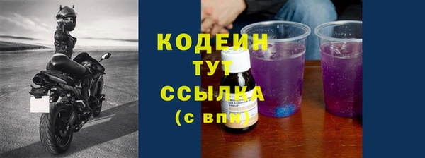 ГАЛЛЮЦИНОГЕННЫЕ ГРИБЫ Абаза