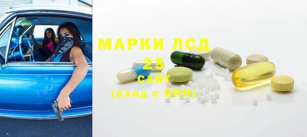 ГАЛЛЮЦИНОГЕННЫЕ ГРИБЫ Абаза