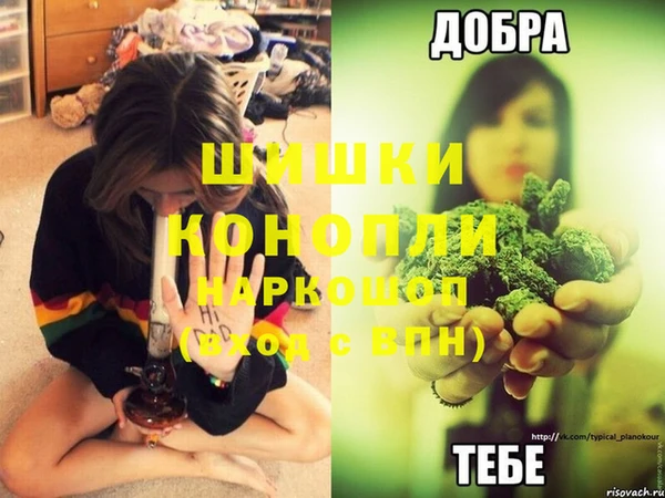 соль ск Пестово