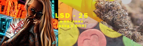 ГАЛЛЮЦИНОГЕННЫЕ ГРИБЫ Абаза