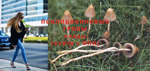 а пвп мука Абдулино