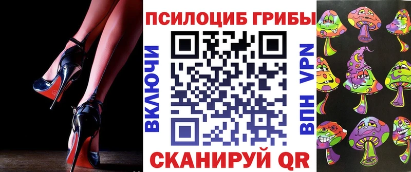 Галлюциногенные грибы мицелий  Торопец 